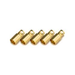 Prise or type PK 6mm femelle (5 pièces) KN-130309-5F Konect ...