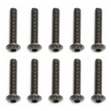 Vis M3x16 mm BHCS (10)