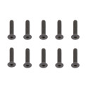 FHCS 3X14MM SCREWS (10)
