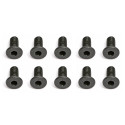M2.5 X 0.45 X 6 Fhc Screw (10)