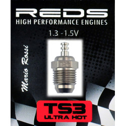 REDTS3 BOUGIE TS3 ULTRA HOT TURBO SPECIAL BUGGY - JAPAN Reds Racing RSRC