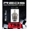 REDTS3 BOUGIE TS3 ULTRA HOT TURBO SPECIAL BUGGY - JAPAN Reds Racing RSRC