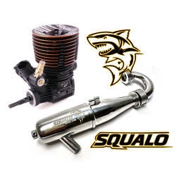 Combo Moteur Picco SQUALO...