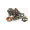 XTR-0001-15 COMPLETE SET BEARINGS FOR AGAMA A215 SV XTR RSRC