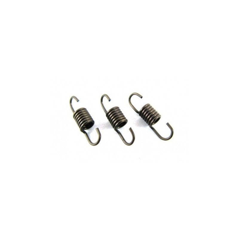 7116 SPRING FOR FLANGED MANIFOLD (3PCS)  7116 Picco RSRC