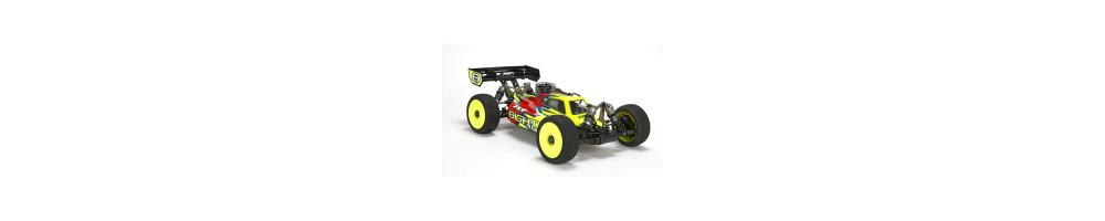 All option parts for TLR 8ight buggy